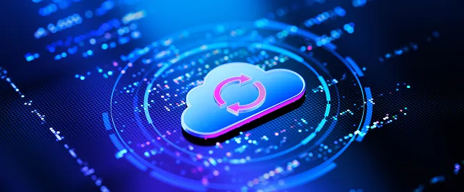 Backup and Disaster Recovery
